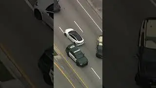 Crazy GTA-Like High Speed Chase | LX News