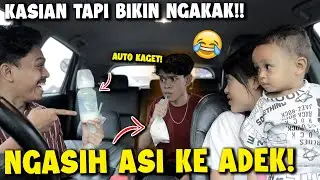 KASIH ASI KE ADEK! BEGINI REAKSINYA..🤣