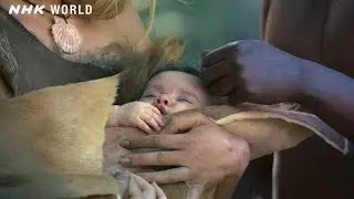 5. Encountering Neanderthals - OUT OF THE CRADLE [人類誕生CG] / NHK Documentary