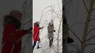 30 декабря 2021 г.