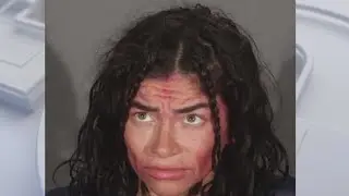 Homeless woman accused of trying to kidnap 8-year-old in Santa Monica