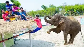 Very Special Trending Funny Comedy Video 2023😂Amazing Comedy Video 2023 Ep-33 By  @mamafunltd