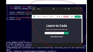 How to Take Webpage Screenshot using python