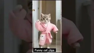 Cute cat baby dance #shortsfeed #cat #catvideos #catlover #shortvideo #shorts #short #shortsfeed