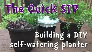 5 minute DIY Self Watering Container Garden - perfect for beginner gardeners and small spaces