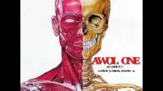 Awol one - Revolution