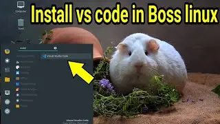 Install Vs Code 🚀 in Boss linux