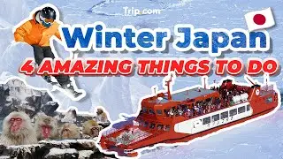 Winter Japan! ❄️ULTIMATE Japan Travel Guide 2025: 4 Amazing Things to do!!