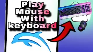 How to Play Dolphin Emulator with Keyboard and Mouse | Easy Setup Guide