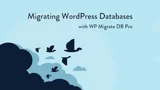 Migrating WordPress Databases with WP Migrate DB Pro