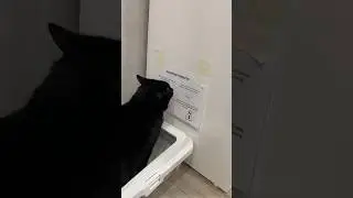 Теперь не скучно сидеть 😁
