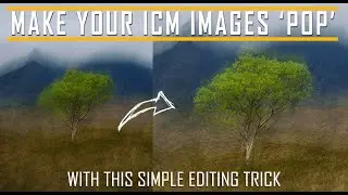 ICM Editing Trick - Make your images pop