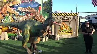 Training a T-Rex