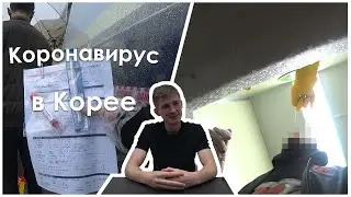 Жесть Коронавируса в Корее. Плюсы и Минусы ограничительных мер