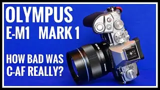 Olympus E-M1 mk1 - How bad was the continuous auto focus really?