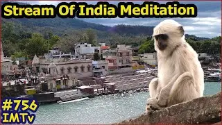 India  Meditation Stream - Nostalgia . Че-то припёрло.. 4500 frames from Holy India