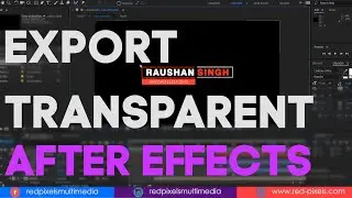How to Export with a Transparent Video || Quick Render Alpha Channel in Adobe After Effects CC