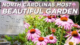 Sarah P. Duke GARDENS | Most Beautiful Spot in Durham North Carolina