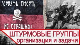 УДАРНЫЕ и ШТУРМОВЫЕ батальоны и группы - история и организация