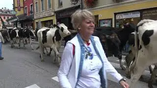 27-09-2019 ASIAGO (VI) CHE MERAVIGLIA LA SFILATA DELLA TRANSUMANZA ESSERCI CHE EMOZIONE FORTE