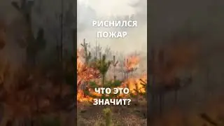 ПРИСНИЛСЯ ПОЖАР 🔥 Что это значит?