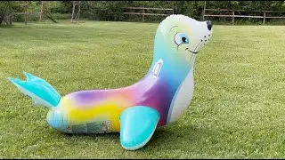 Poke Popping Inflatable Rainbow Seal Ride-On Then Totally Destroying It