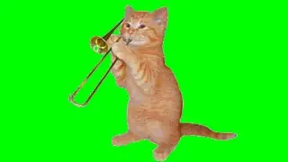 Cat plying Music - Motions green screen effects - chroma key - animations - Effects - Video HD 1080