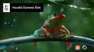 Animated Frog, Full Scene Breakdown! Chapter 3: Creating Rain In Houdini