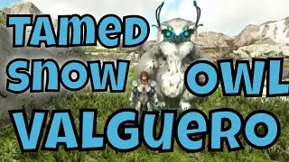 How to spawn in a Tamed Snow Owl and saddle in Valguero