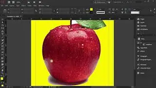 Removing A White Background In Adobe InDesign