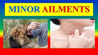 MINOR AILMENTS - Definition, assess, Principles, Classification, Management, treatment, Role of CHN