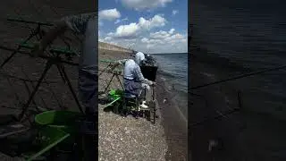 Тренировка к кубку России. #zemex #fishing #фидер #рыбалка