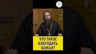 ЧТО ТАКОЕ БЛАГОДАТЬ БОЖИЯ? Священник Валерий Духанин