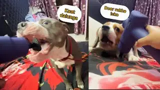 Ek massager ne machaya bawal | best massager  