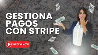 Stripe: La conexión de pago definitiva (2024)