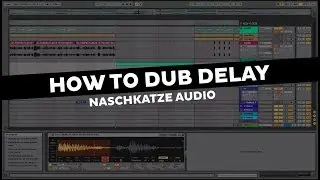 How To Dub Delay