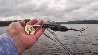 MUSKY FISHING THE NORTHWOODS!! - Muskies on Bucktails in Shallow Weeds