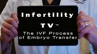 The IVF Process of Embryo Transfer | Infertility TV