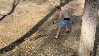 BIG goanna lizard running and chasing person! FUNNY | JustBecause