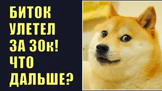 Биток выше 30к. Будет ли расти альта?