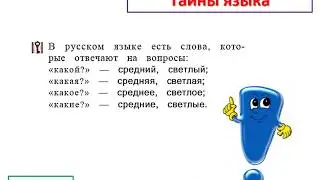 Урок 10 ОПИСАНИЕ ВНЕШНОСТИ. СЛОВА, ОТВЕЧАЮЩИЕ НА ВОПРОСЫ «КАКОЙ?», «КАКАЯ?», «КАКОЕ?», «КАКИЕ?»