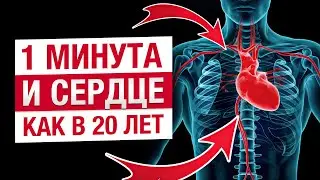 ЭТО снизит РИСК ИНФАРКТА! / Основные причины и признаки проблем с сердцем и сосудами