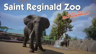 Saint Reginald Zoo - 