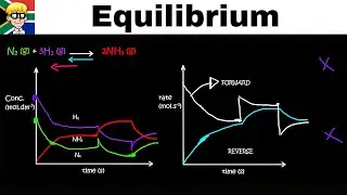 Equilibrium Graphs grade 12: Concentration