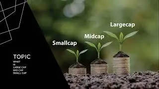 Difference between small cap, mid cap and large cap | Which grows faster | Which is safe/risky