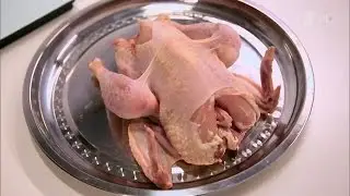 Курица - Теория заговора