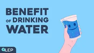 Why should we drink more water? | 🎙️ 8 Minute English