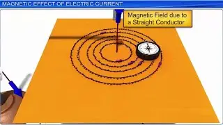 CBSE Class 12 Physics || Moving Charges and Magnetism || Full Chapter || By Shiksha House