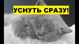 уснуть сразу музыка для сна