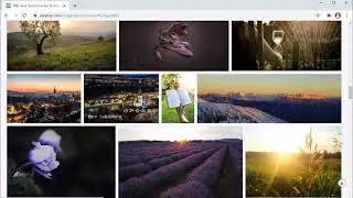 How to Use Google Images Without Copyright Issue